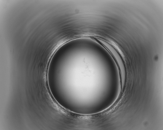 X0000096180810200801251214