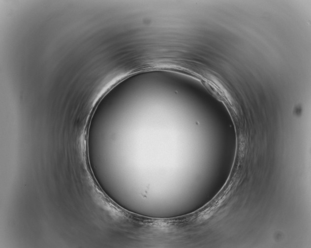 X0000096180814200801251214