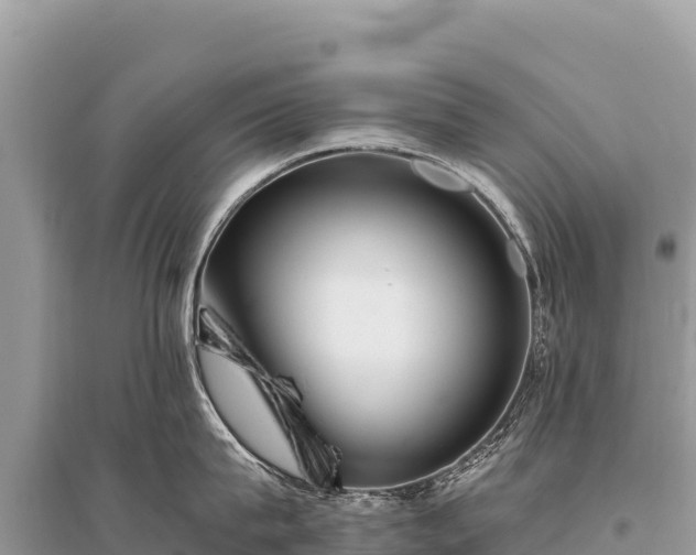 X0000096180815200801251214