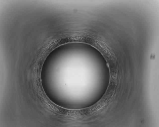 X0000096180817200801251213
