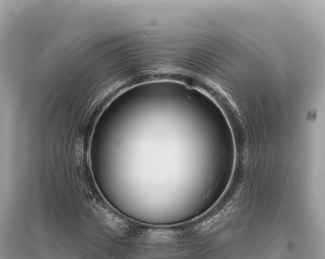X0000096180825200801251213