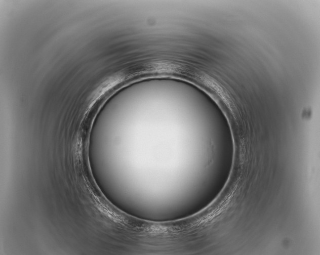 X0000096180827200801251213