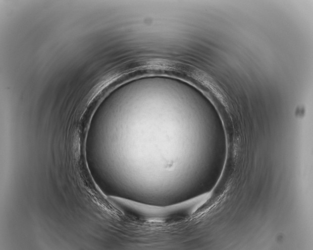 X0000096180829200801251213