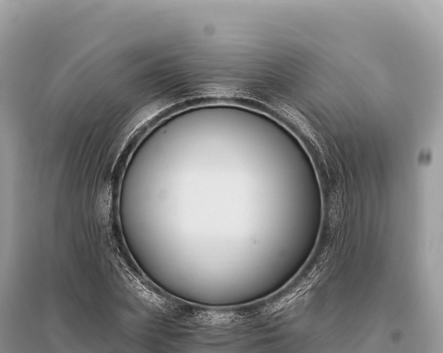 X0000096180831200801251213
