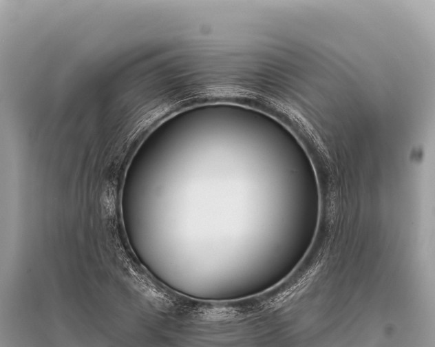 X0000096180833200801251214