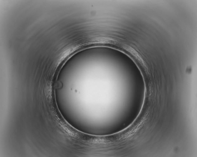 X0000096180834200801251214