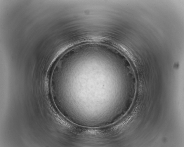 X0000096180835200801251214