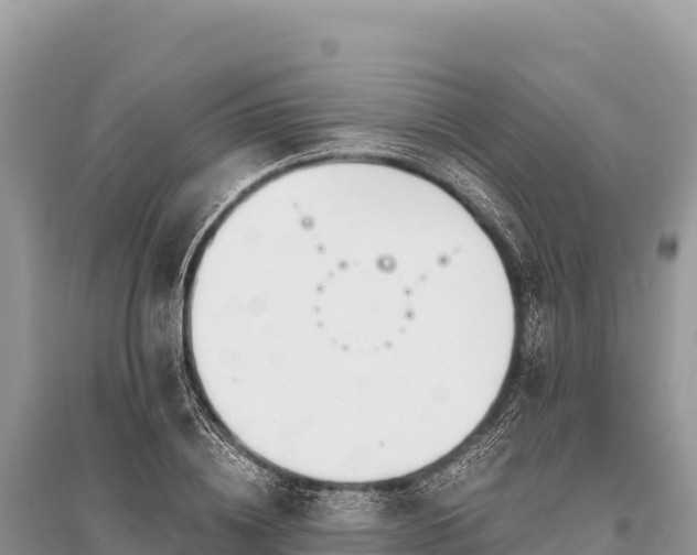 X0000096180836200801251214