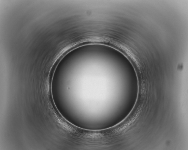 X0000096180837200801251214