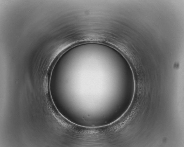 X0000096180838200801251214