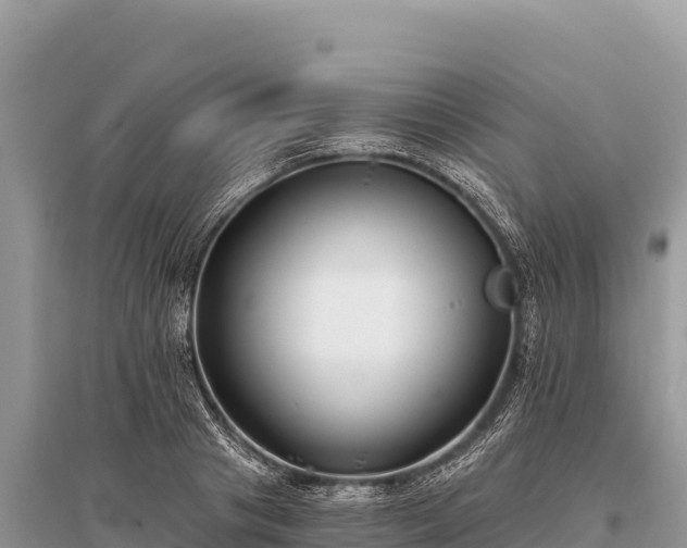 X0000096180841200801251214