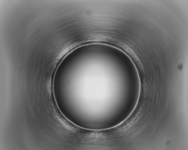 X0000096180842200801251214