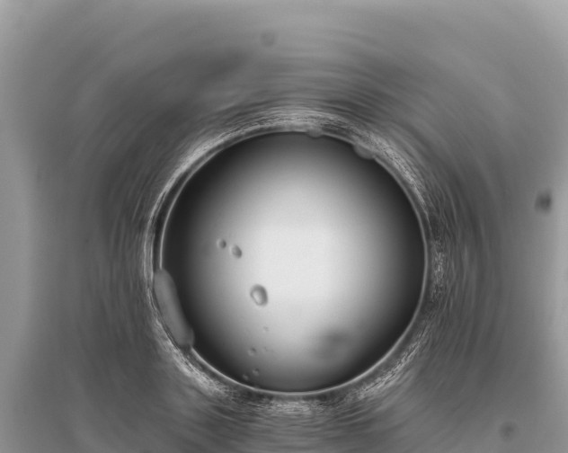 X0000096180843200801251214