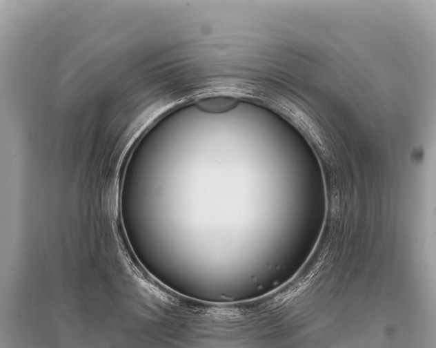 X0000096180844200801251214