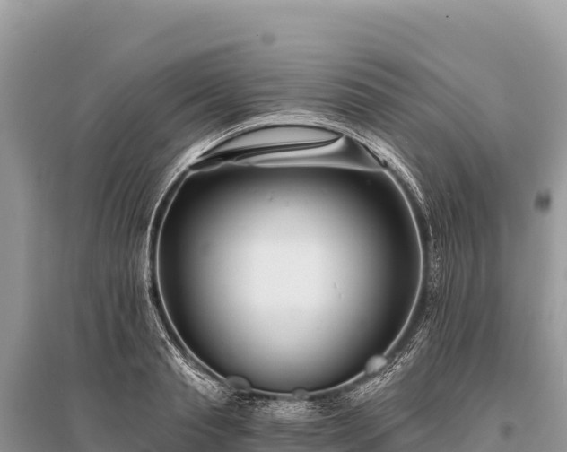 X0000096180845200801251214