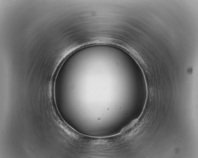 X0000096180846200801251214