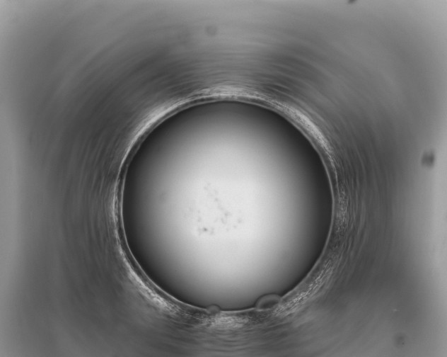 X0000096180847200801251214