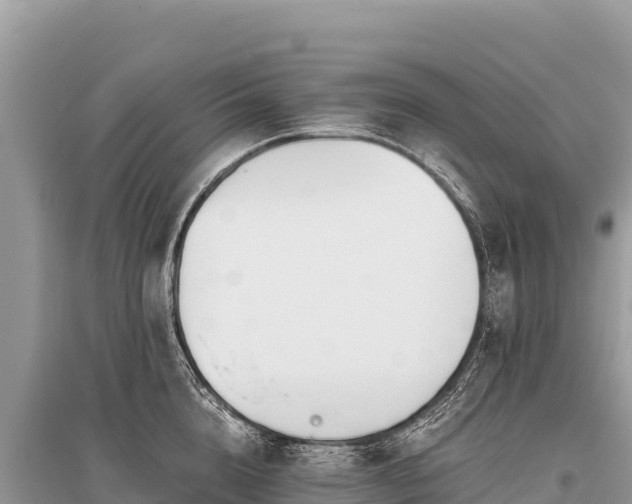 X0000096180856200801251214