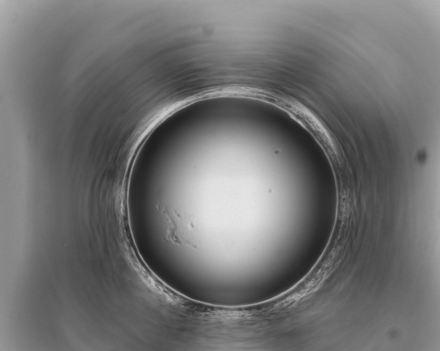 X0000096180860200801251214