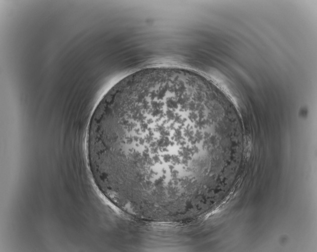X0000096180863200801251214
