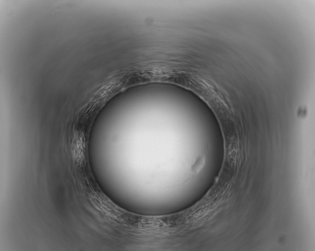 X0000096180866200801251213