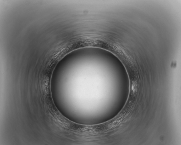 X0000096180867200801251213