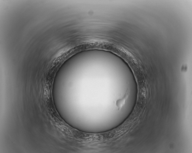 X0000096180869200801251213