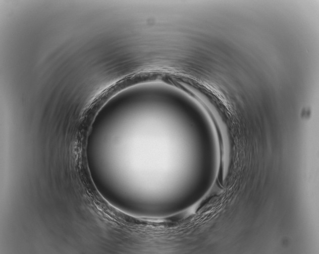 X0000096180872200801251213