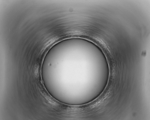X0000096180873200801251213