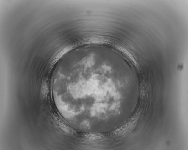 X0000096180874200801251213