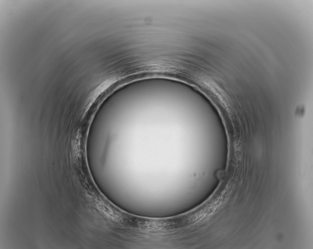 X0000096180875200801251213