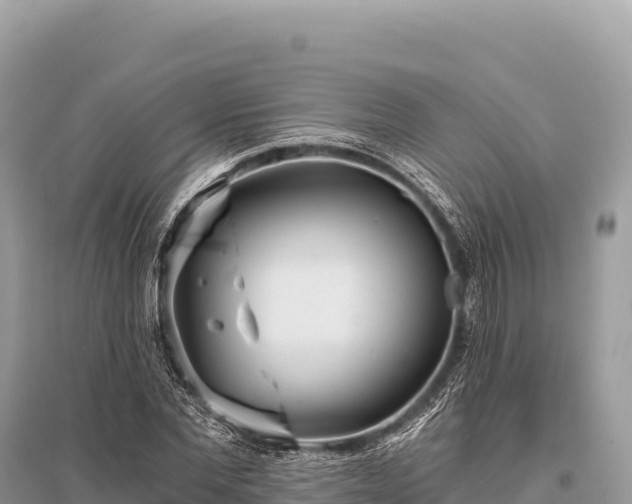 X0000096180877200801251213