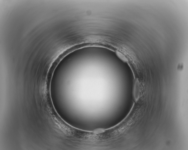 X0000096180880200801251213
