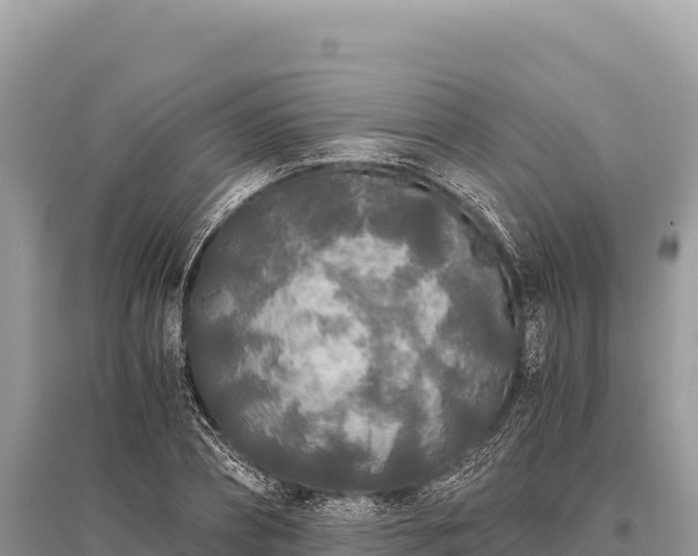 X0000096180882200801251213