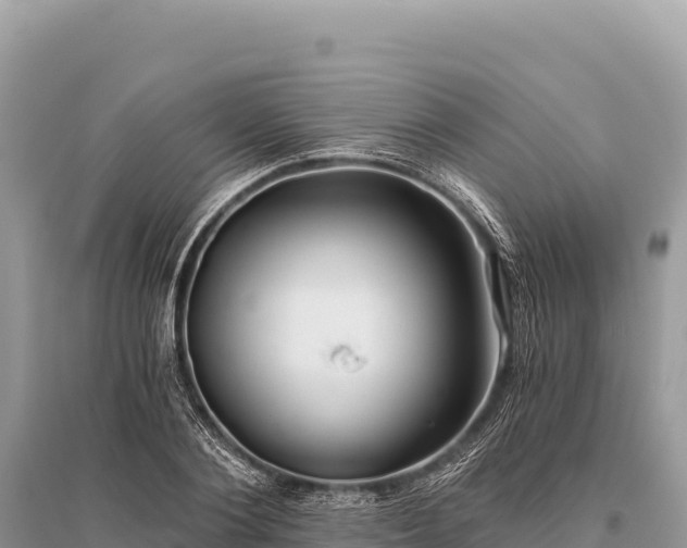 X0000096180884200801251213