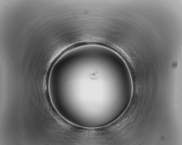 X0000096180885200801251213