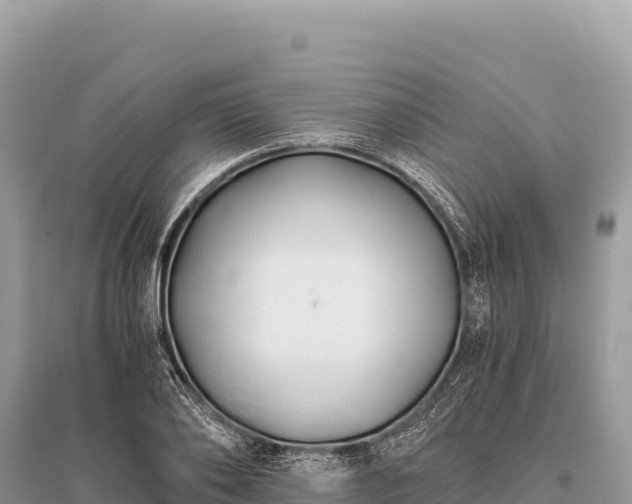 X0000096180886200801251213