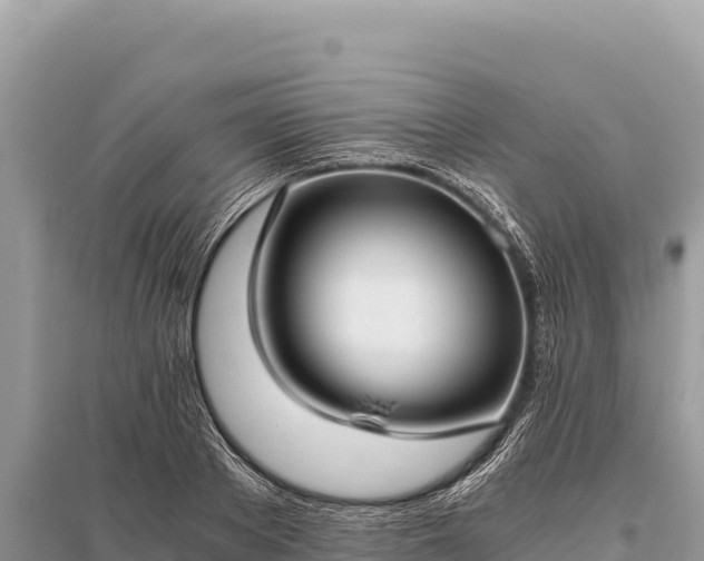 X0000096180889200801251213