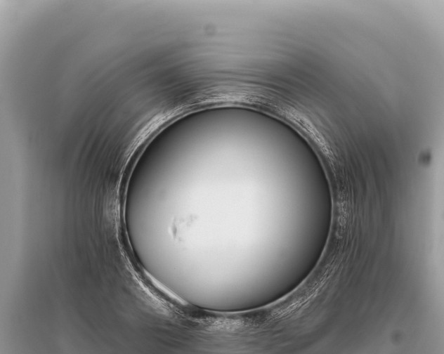 X0000096180890200801251213