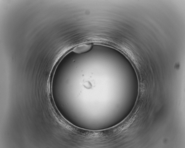 X0000096180891200801251213
