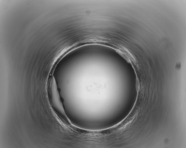 X0000096180893200801251213