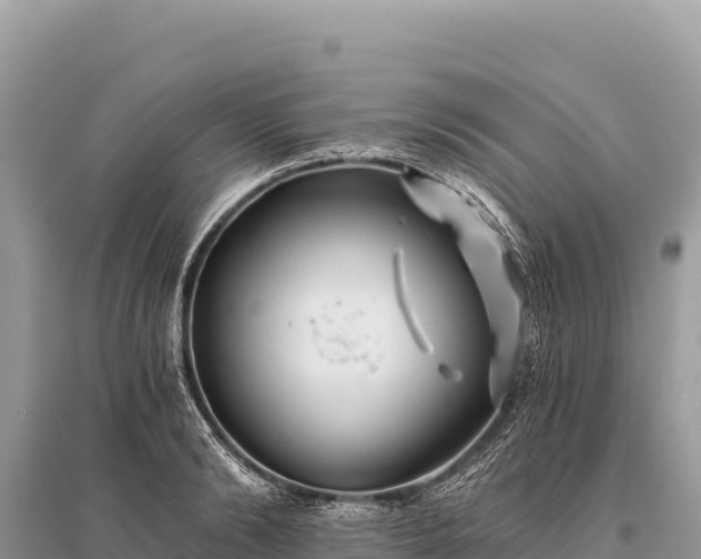 X0000096180894200801251213