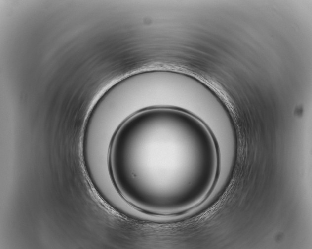 X0000096180896200801251213
