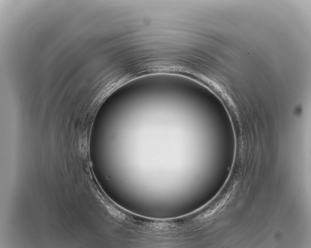 X0000096180897200801251213
