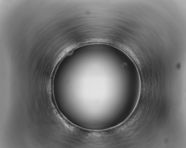 X0000096180898200801251213