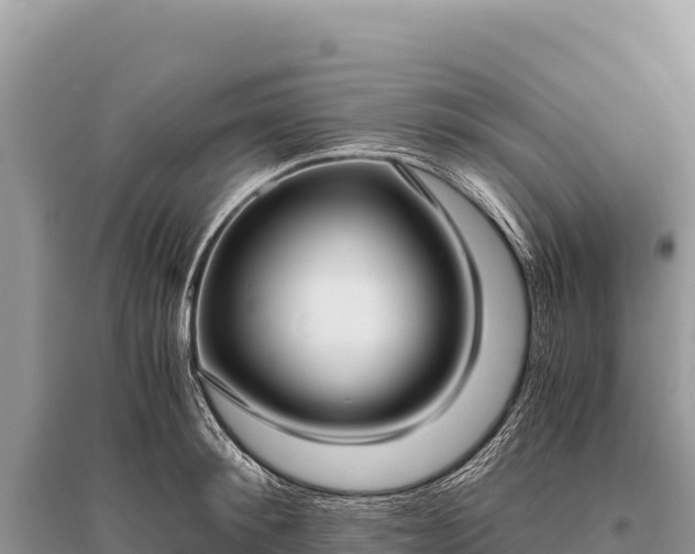 X0000096180900200801251213