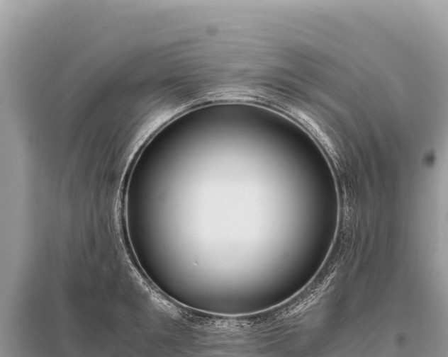 X0000096180901200801251213