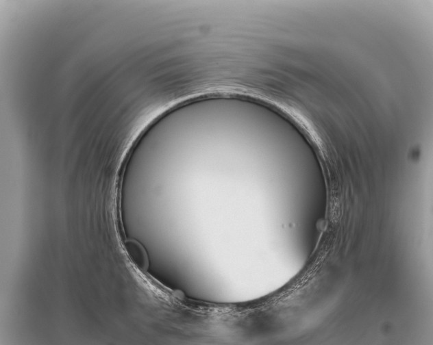 X0000096180903200801251213