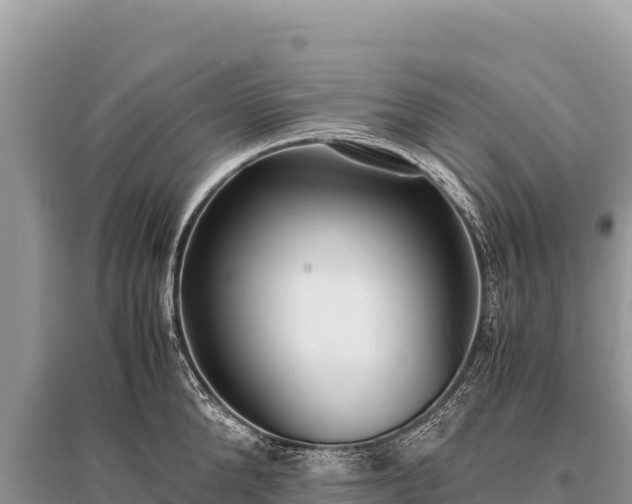 X0000096180904200801251213