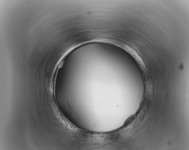 X0000096180908200801251213